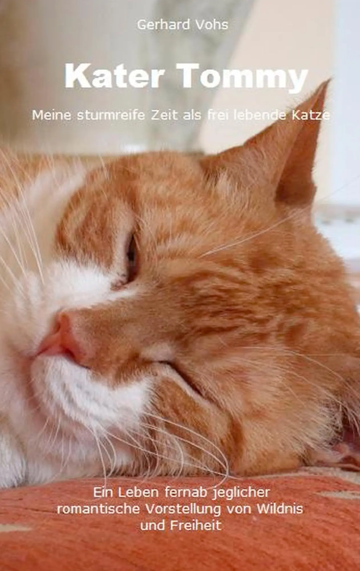Cover: 9783735722003 | Kater Tommy | Meine sturmreife Zeit als frei lebende Katze | Vohs