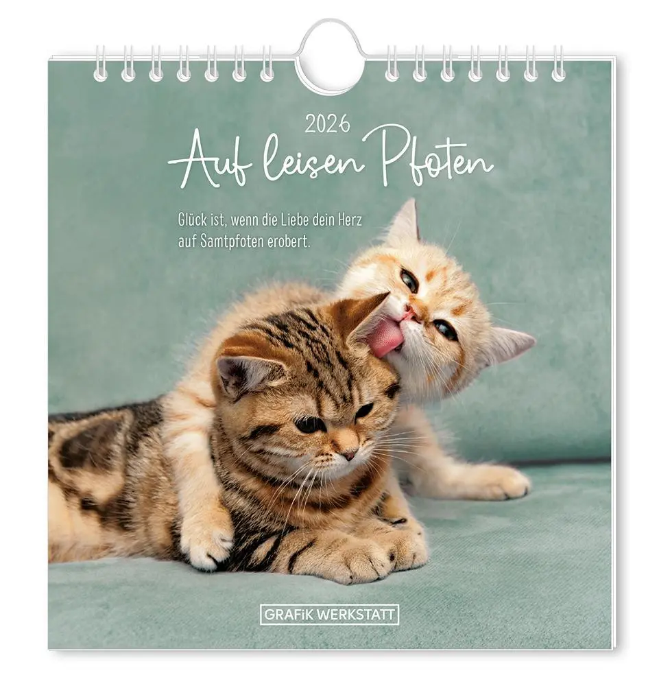 Cover: 9783986362003 | Postkartenkalender 2026 Auf leisen Pfoten | Postkartenkalender | 12 S.