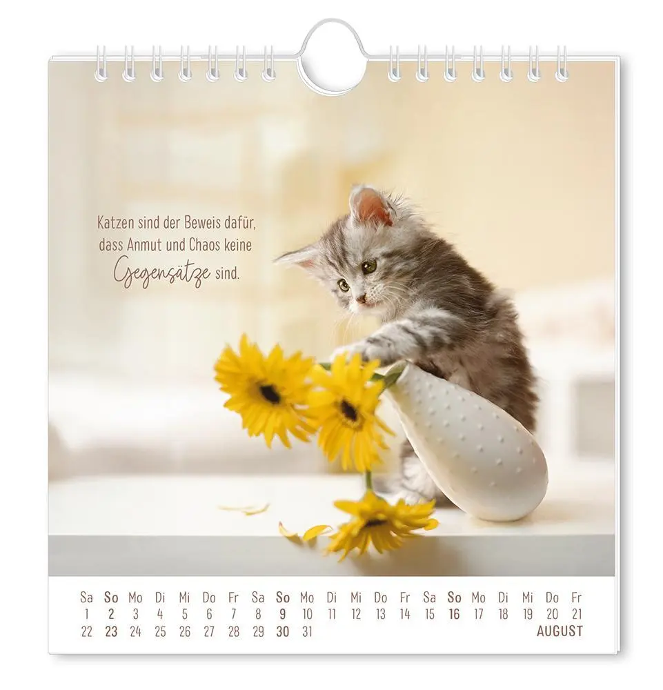 Bild: 9783986362003 | Postkartenkalender 2026 Auf leisen Pfoten | Postkartenkalender | 12 S.