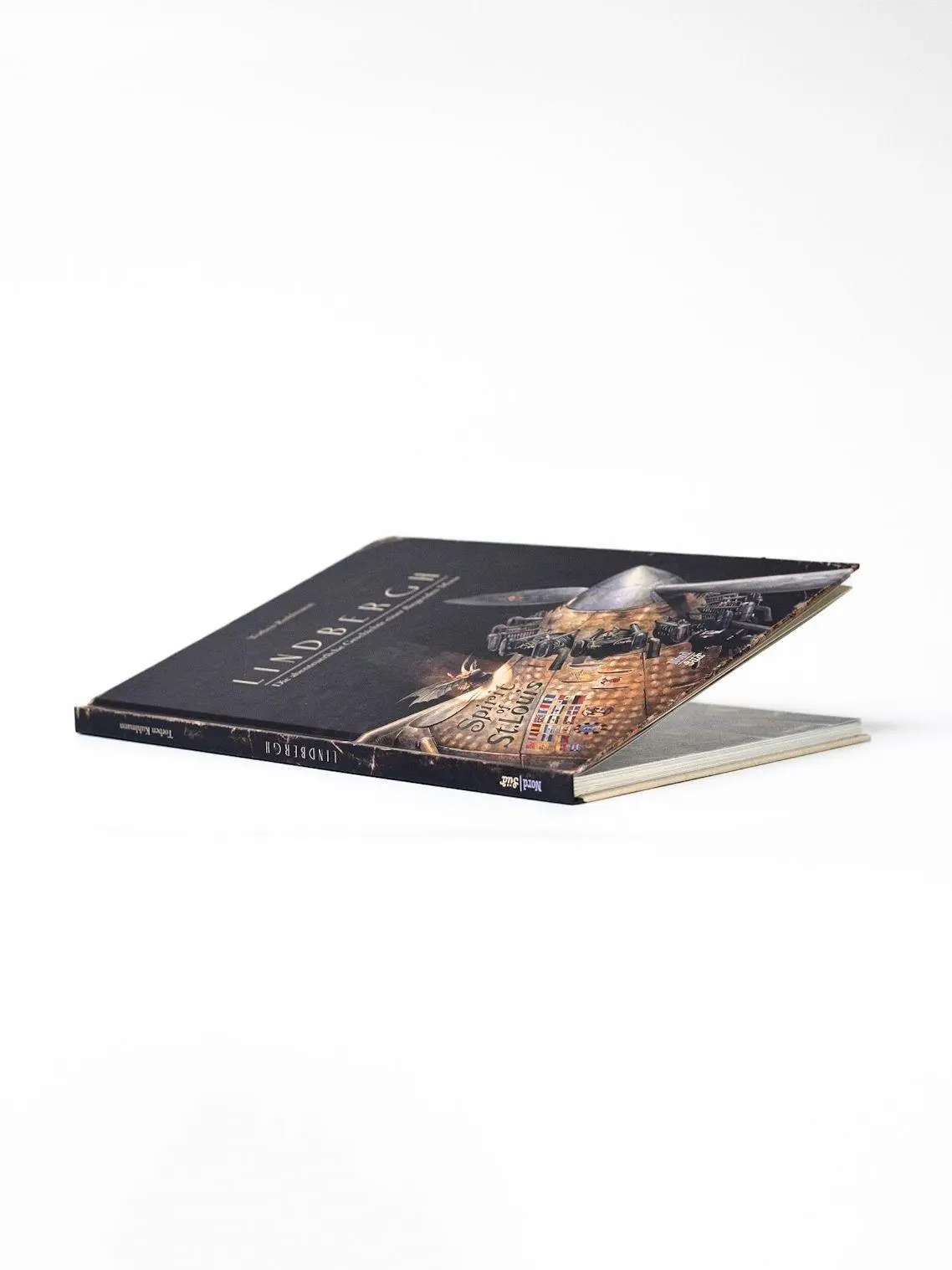 Bild: 9783314102103 | Lindbergh | Die abenteuerliche Geschichte einer fliegenden Maus | Buch