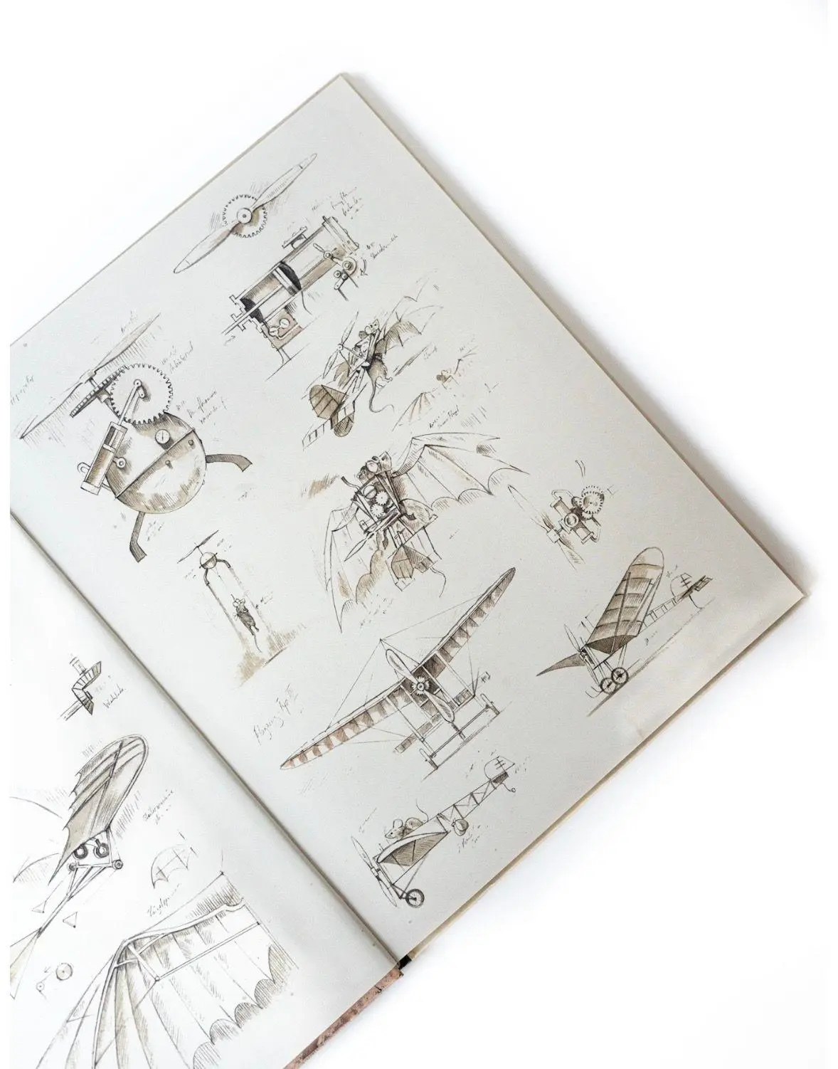 Bild: 9783314102103 | Lindbergh | Die abenteuerliche Geschichte einer fliegenden Maus | Buch