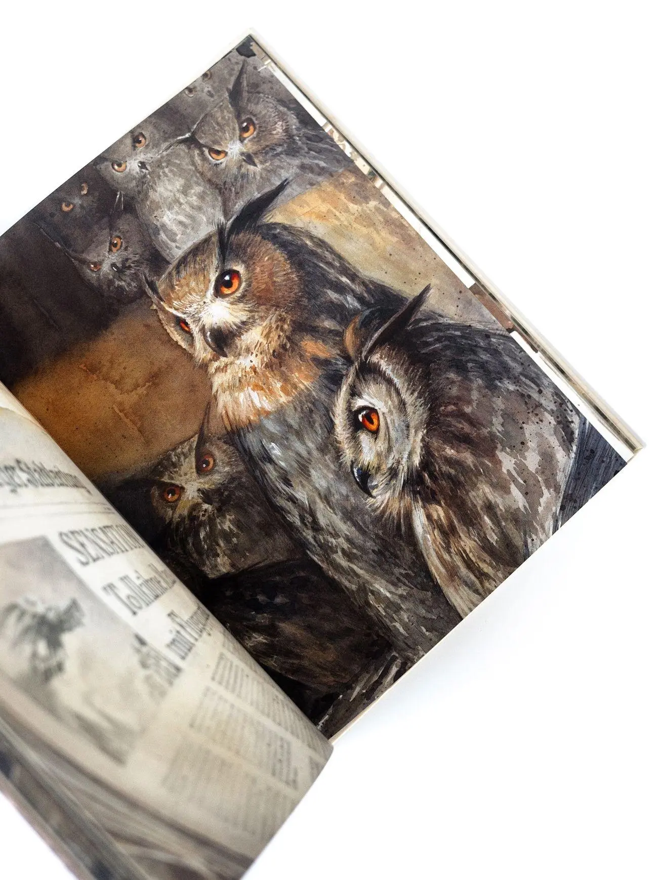 Bild: 9783314102103 | Lindbergh | Die abenteuerliche Geschichte einer fliegenden Maus | Buch