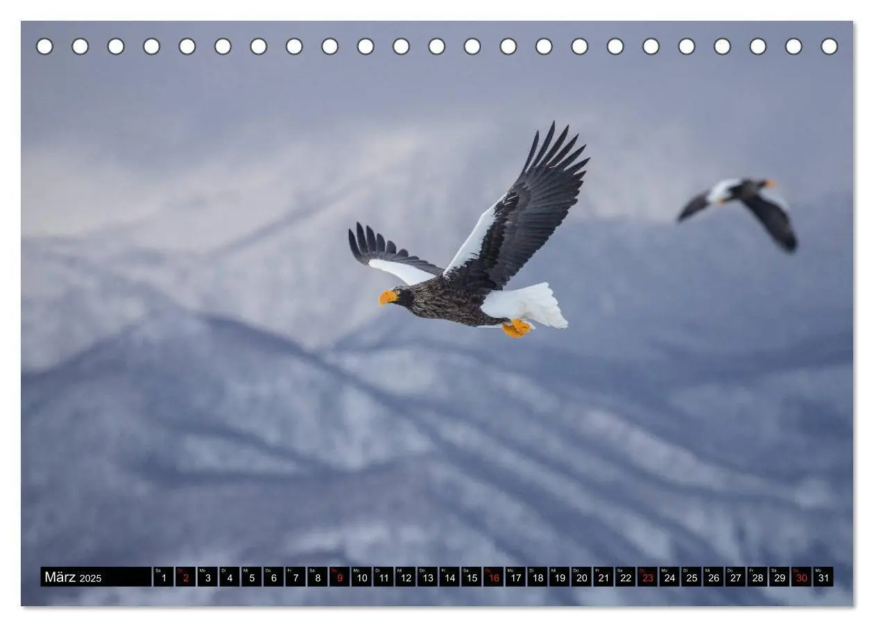 Bild: 9783435292103 | Japanische Vogelwelt im Winter (Tischkalender 2025 DIN A5 quer),...