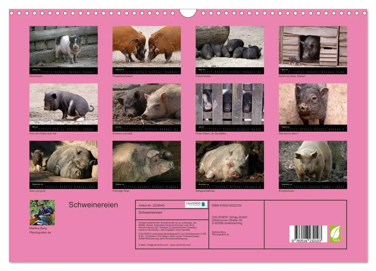 Bild: 9783516232103 | Schweinereien (Wandkalender 2026 DIN A3 quer), CALVENDO Monatskalender