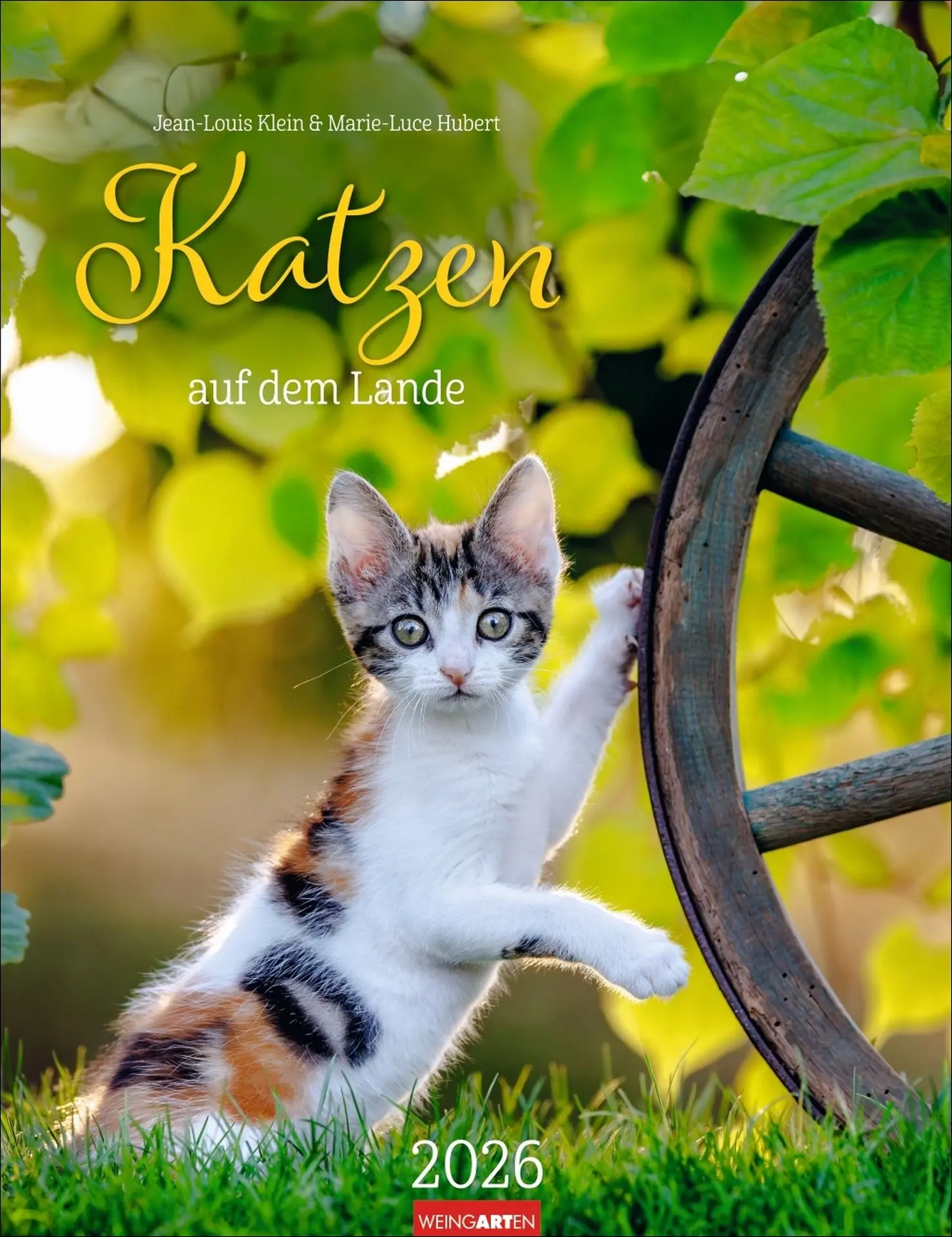 Cover: 9783839902103 | Katzen auf dem Lande Kalender 2026 | Marie-Luce Hubert | Kalender