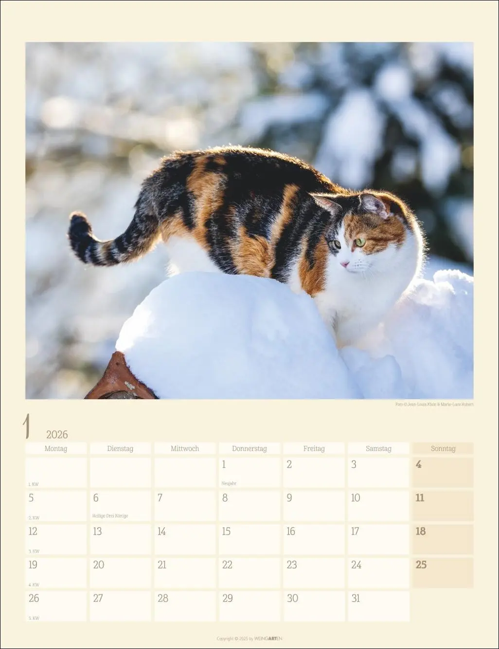 Bild: 9783839902103 | Katzen auf dem Lande Kalender 2026 | Marie-Luce Hubert | Kalender