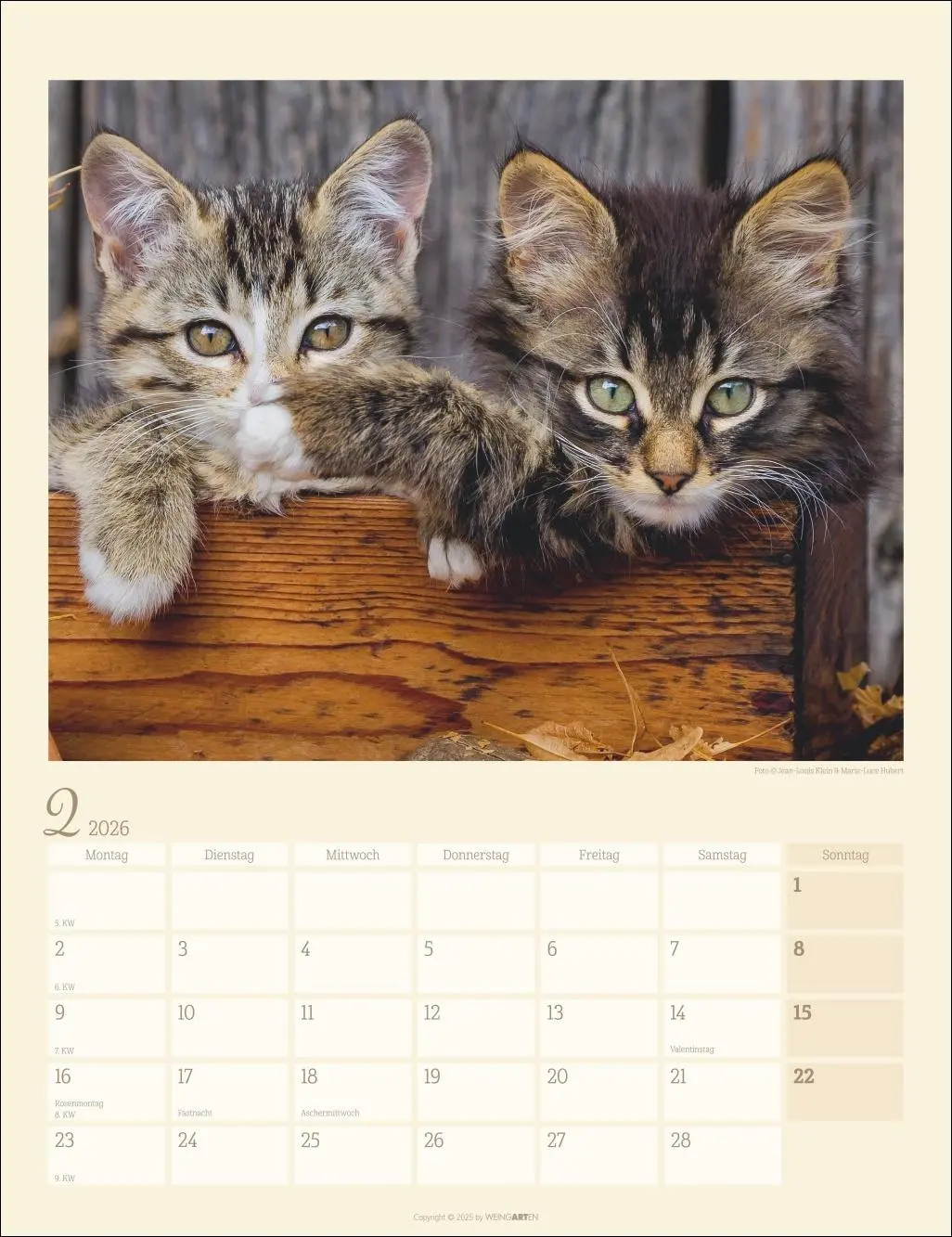 Bild: 9783839902103 | Katzen auf dem Lande Kalender 2026 | Marie-Luce Hubert | Kalender