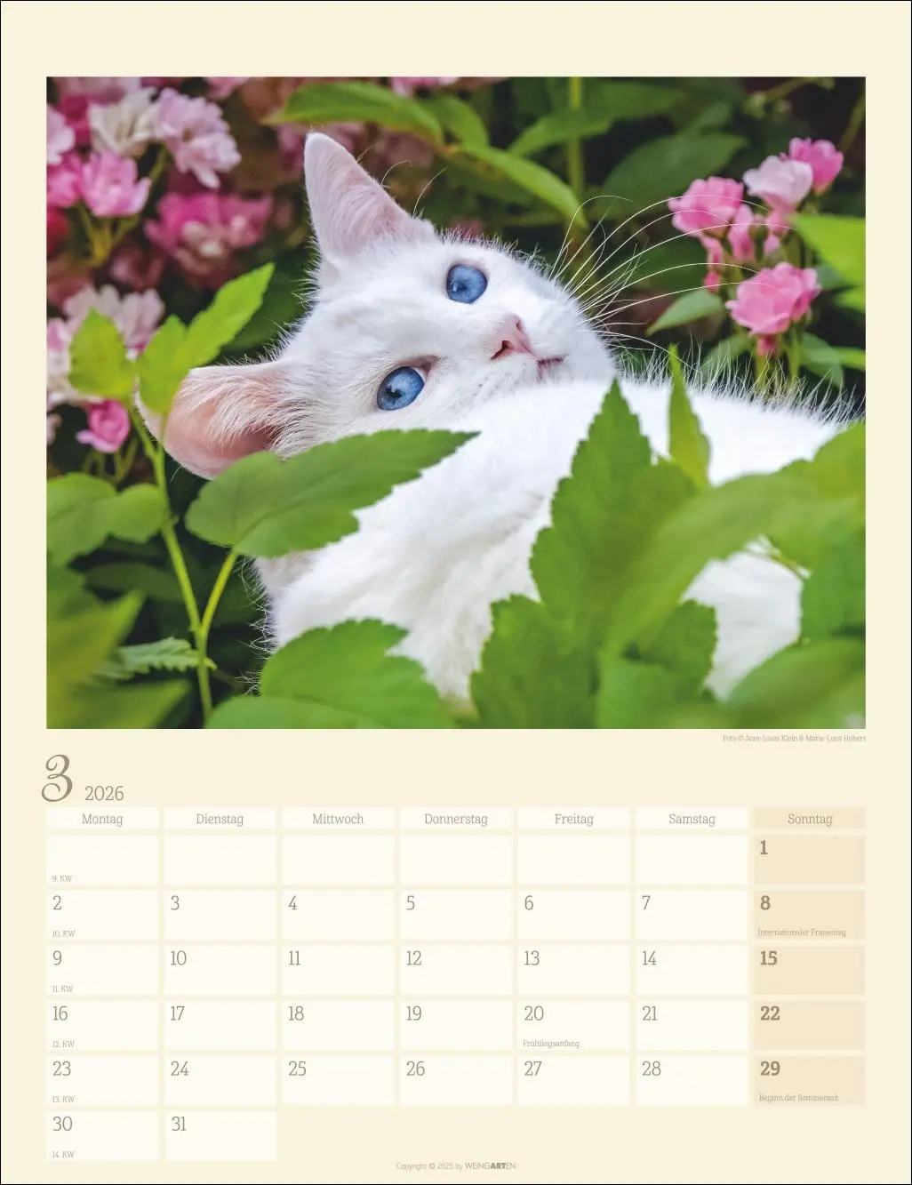 Bild: 9783839902103 | Katzen auf dem Lande Kalender 2026 | Marie-Luce Hubert | Kalender