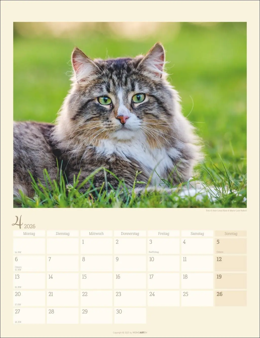 Bild: 9783839902103 | Katzen auf dem Lande Kalender 2026 | Marie-Luce Hubert | Kalender