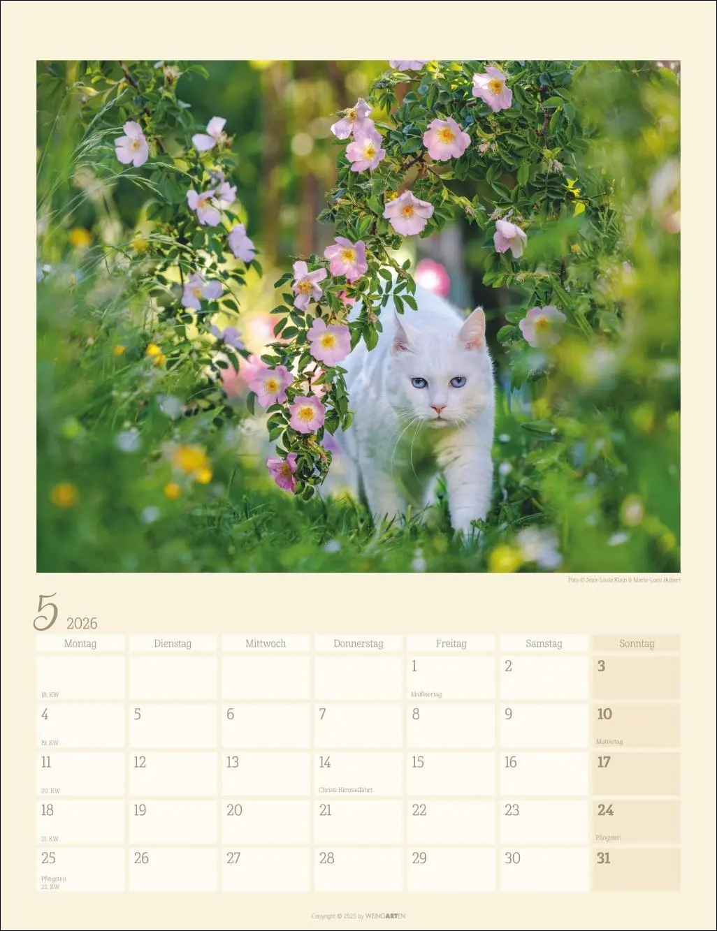 Bild: 9783839902103 | Katzen auf dem Lande Kalender 2026 | Marie-Luce Hubert | Kalender