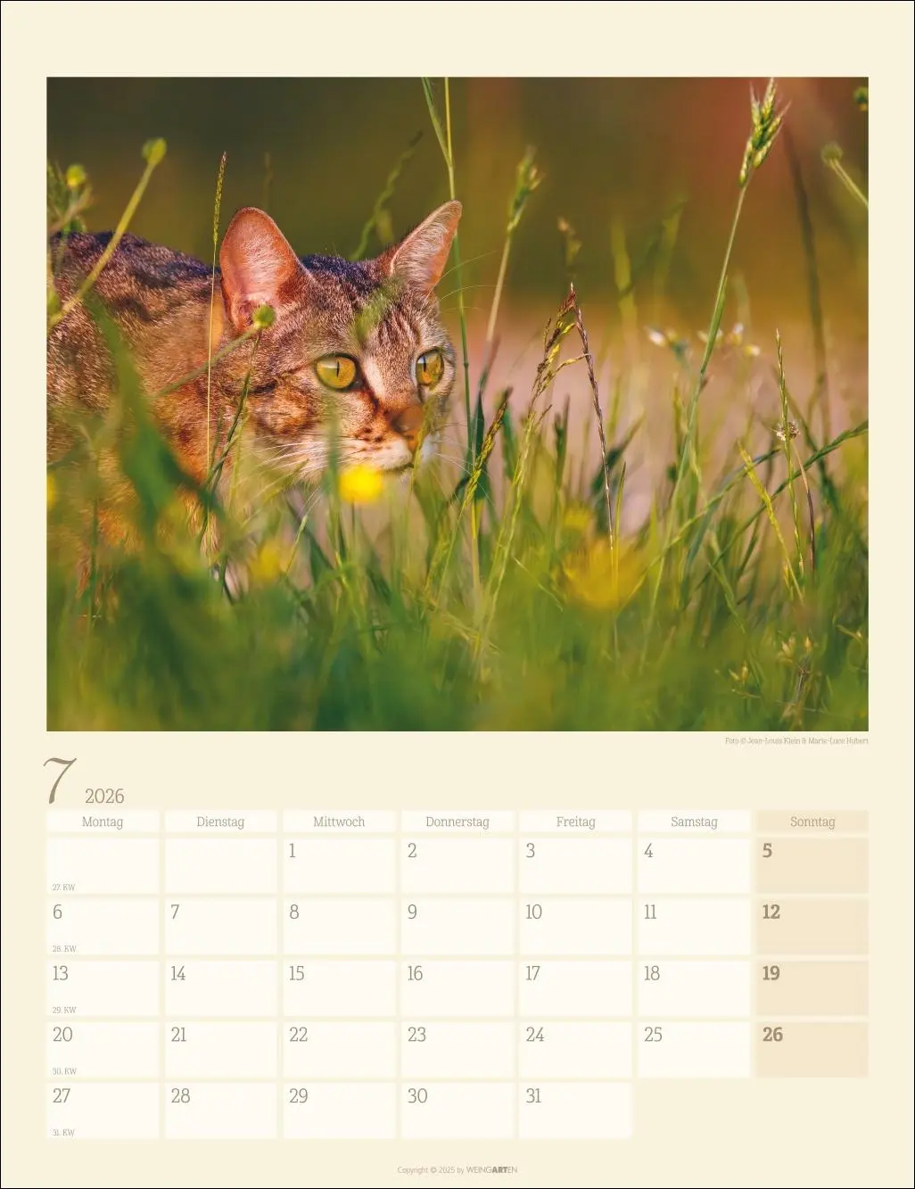 Bild: 9783839902103 | Katzen auf dem Lande Kalender 2026 | Marie-Luce Hubert | Kalender