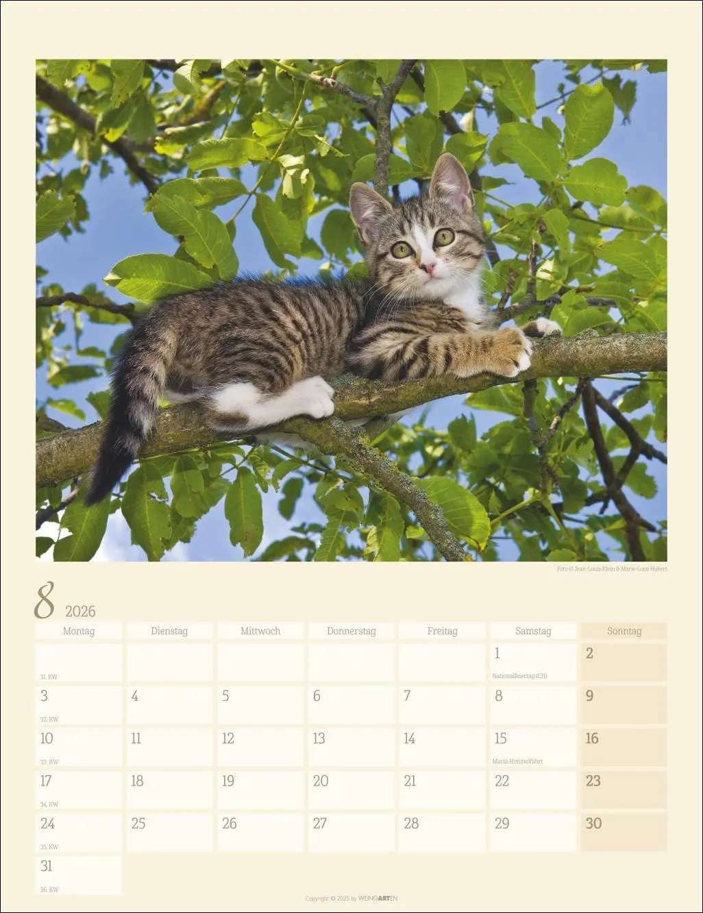 Bild: 9783839902103 | Katzen auf dem Lande Kalender 2026 | Marie-Luce Hubert | Kalender