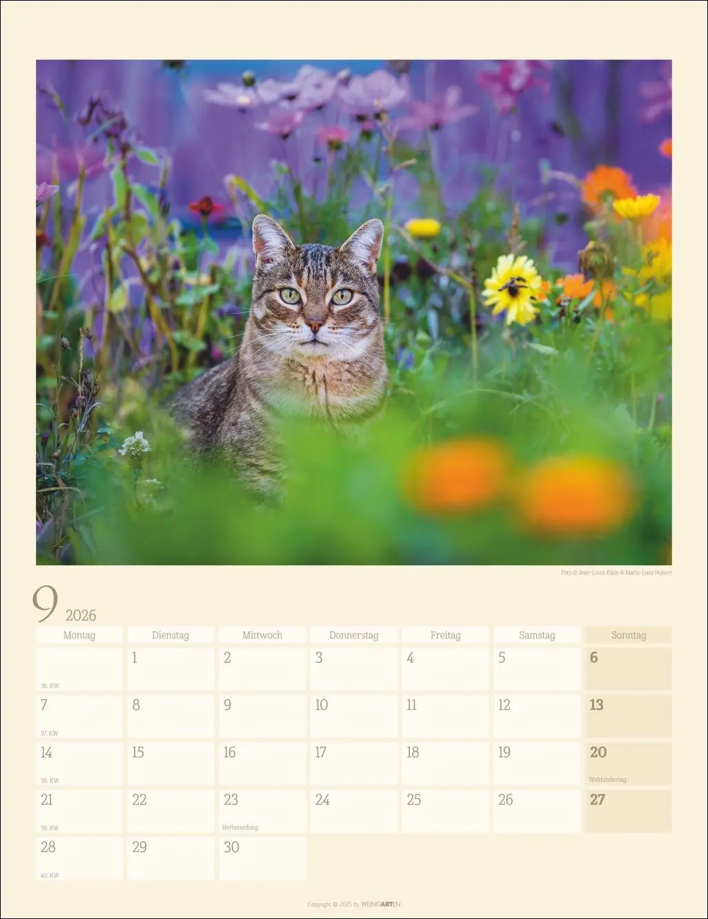 Bild: 9783839902103 | Katzen auf dem Lande Kalender 2026 | Marie-Luce Hubert | Kalender