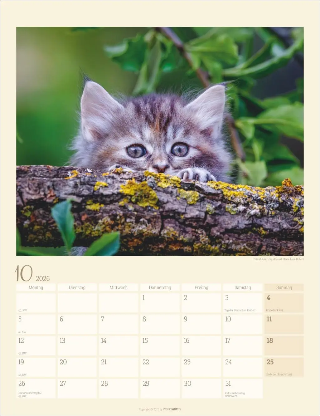 Bild: 9783839902103 | Katzen auf dem Lande Kalender 2026 | Marie-Luce Hubert | Kalender