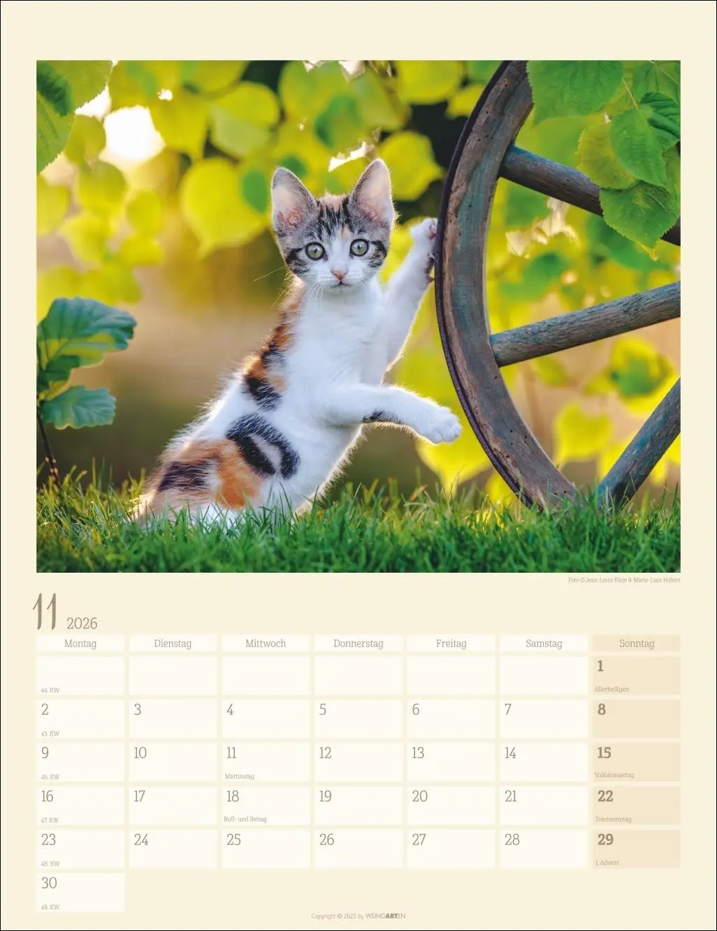 Bild: 9783839902103 | Katzen auf dem Lande Kalender 2026 | Marie-Luce Hubert | Kalender
