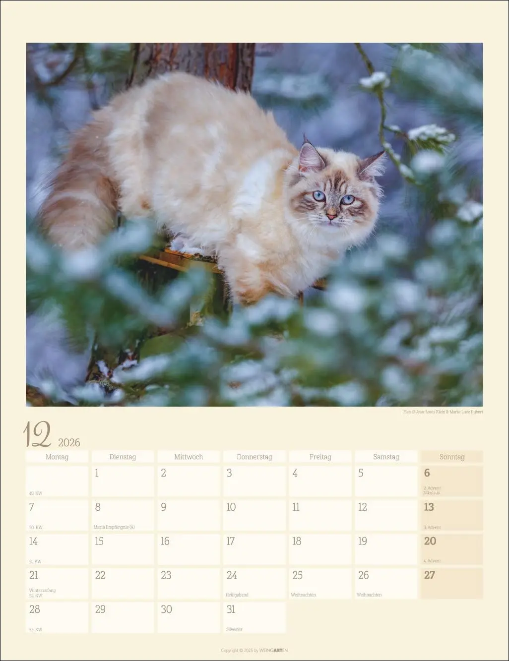 Bild: 9783839902103 | Katzen auf dem Lande Kalender 2026 | Marie-Luce Hubert | Kalender