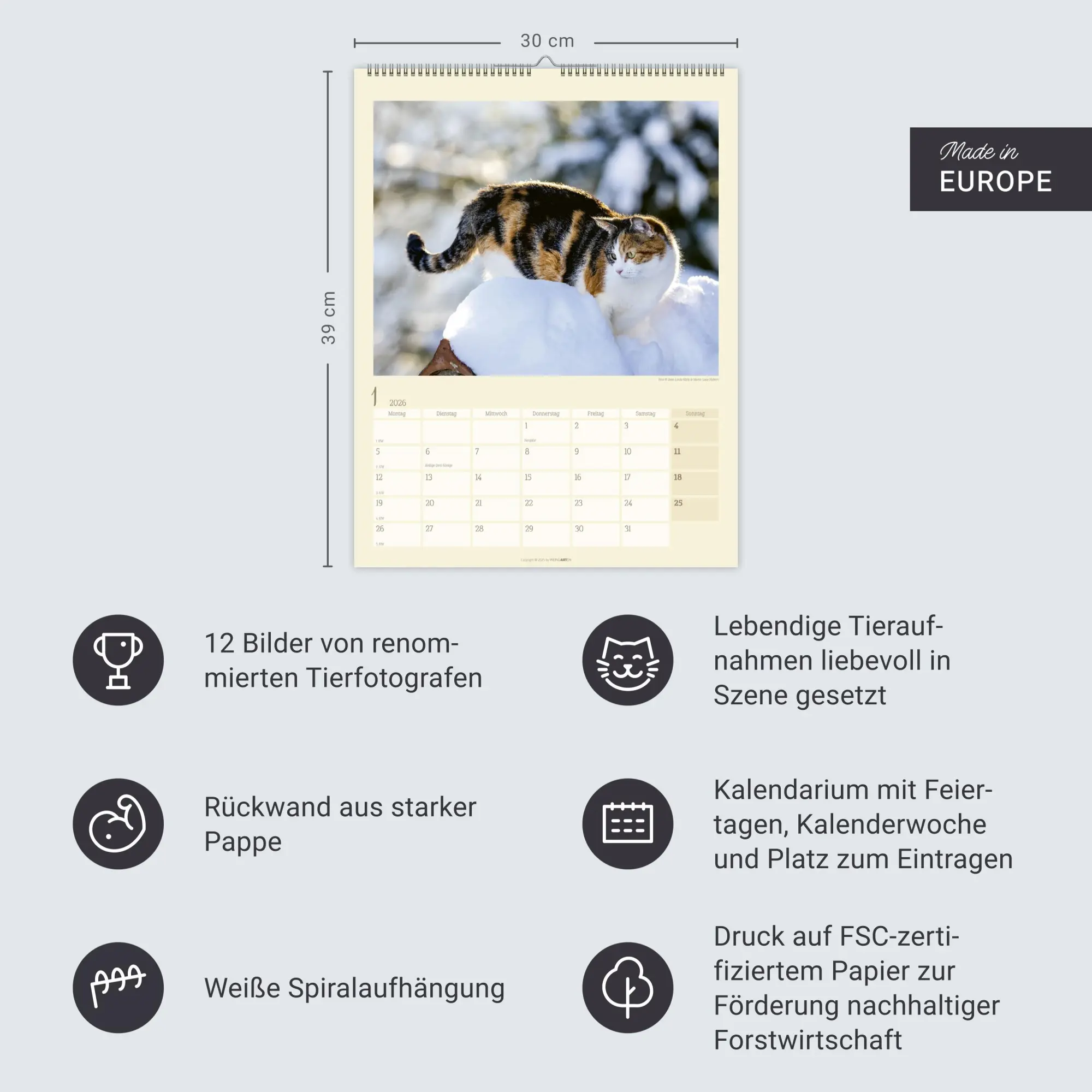 Bild: 9783839902103 | Katzen auf dem Lande Kalender 2026 | Marie-Luce Hubert | Kalender