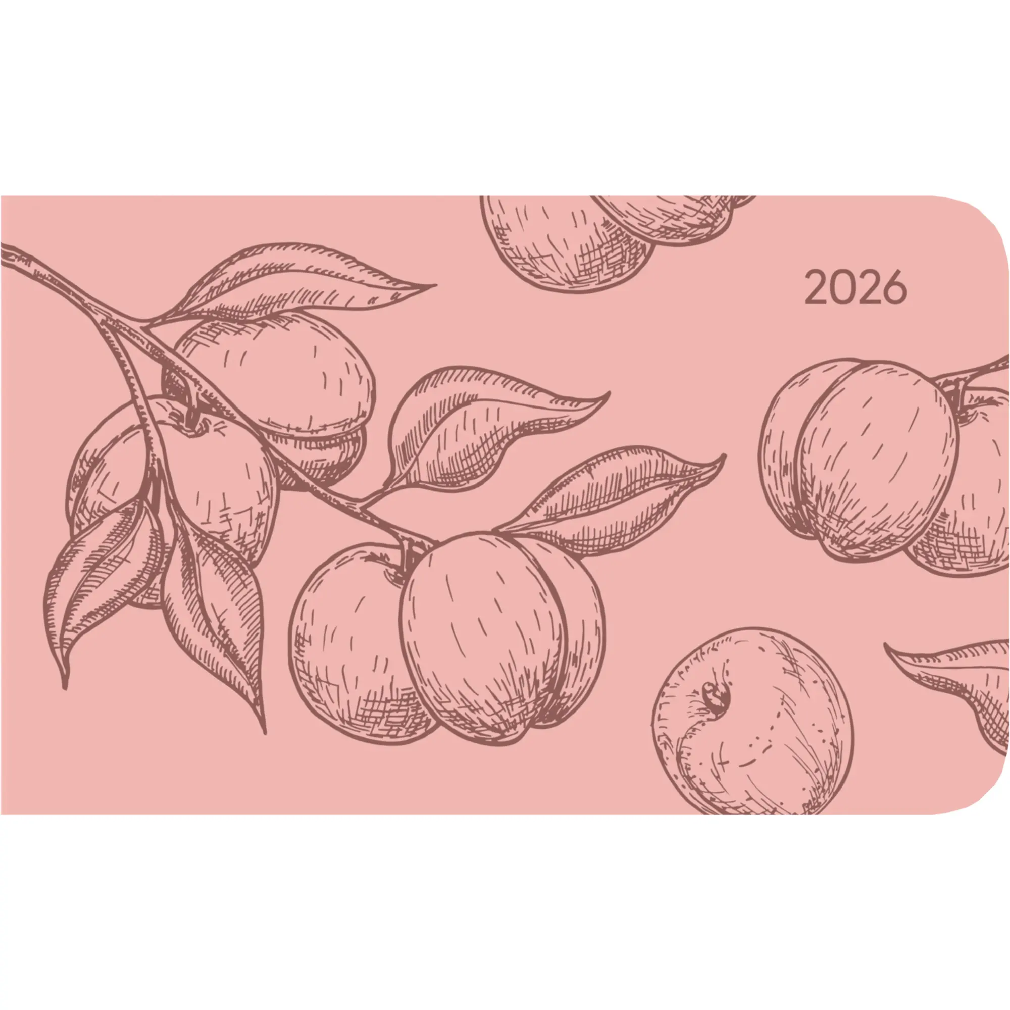 Cover: 4069095002203 | Ladytimer TO GO Deluxe Salmon 2026 - Taschen-Kalender 15,3x8,7 cm -...