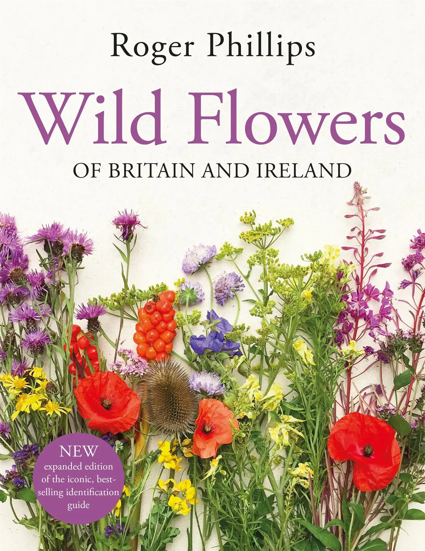 Cover: 9781529082203 | Wild Flowers | of Britain and Ireland | Roger Phillips | Buch | 2024