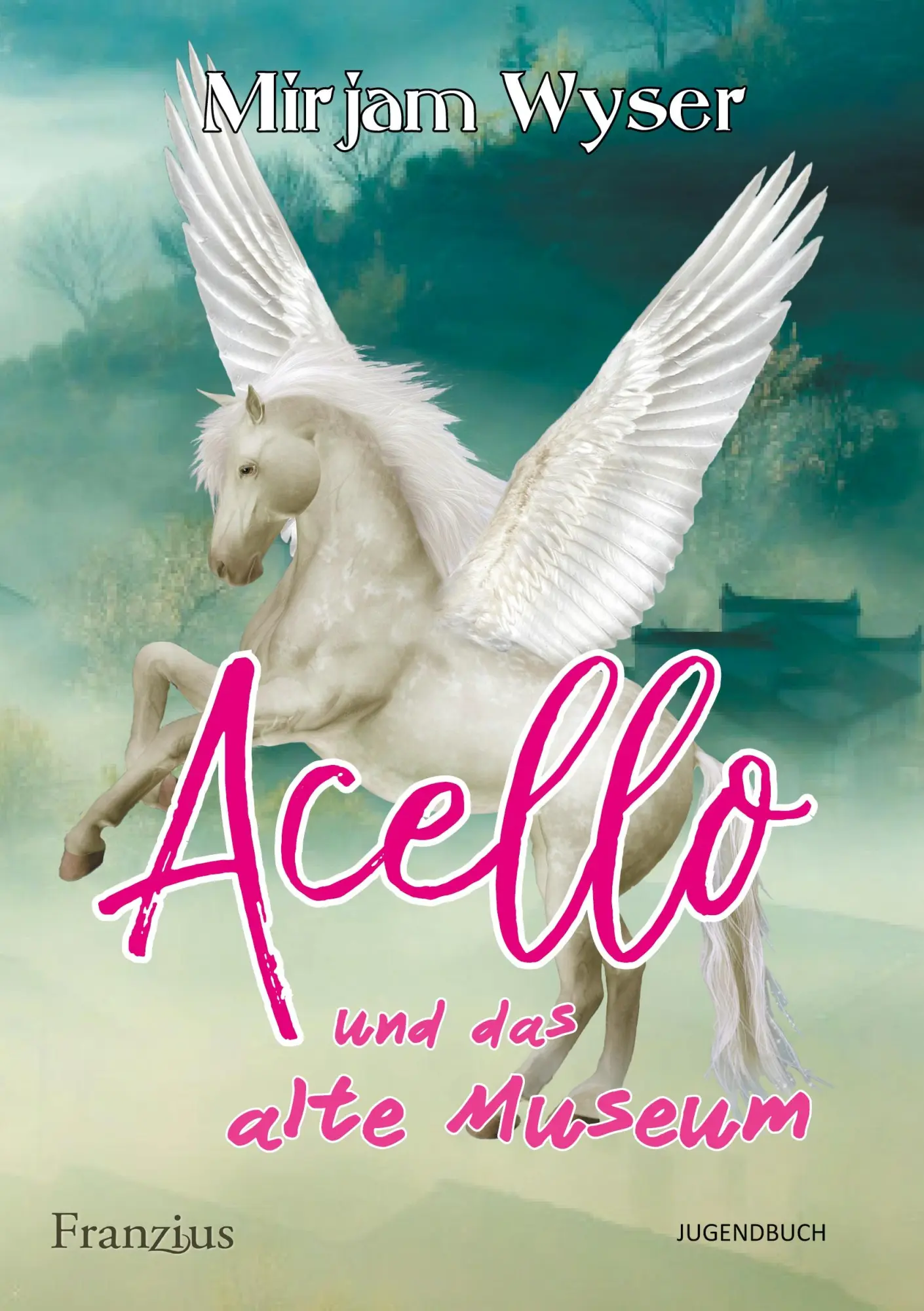 Cover: 9783960502203 | Acello | und das alte Museum | Mirjam Wyser | Taschenbuch | Acello