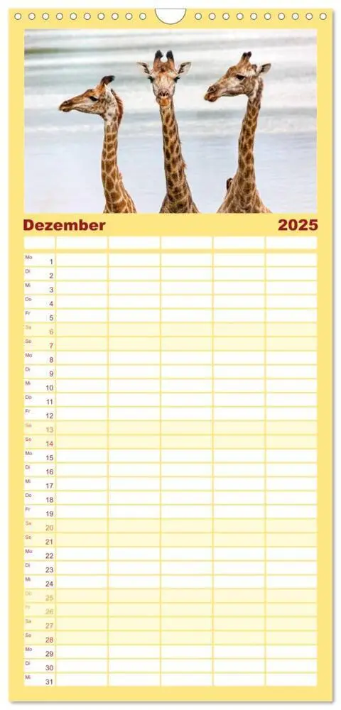 Bild: 9783457122303 | Familienplaner 2025 - Afrikas Tierwelt: Giraffen mit 5 Spalten...