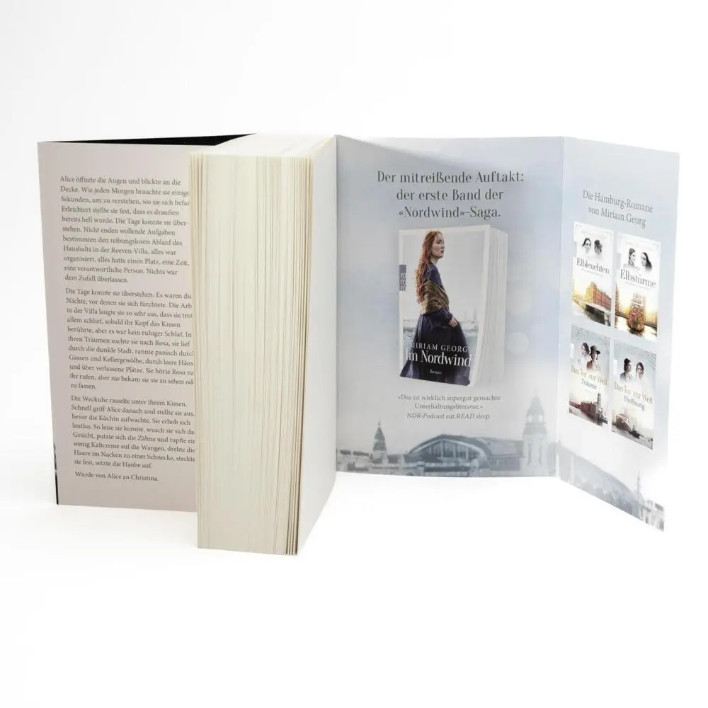 Bild: 9783499012303 | Im Nordlicht | Miriam Georg | Taschenbuch | Die Nordwind-Saga | 576 S.
