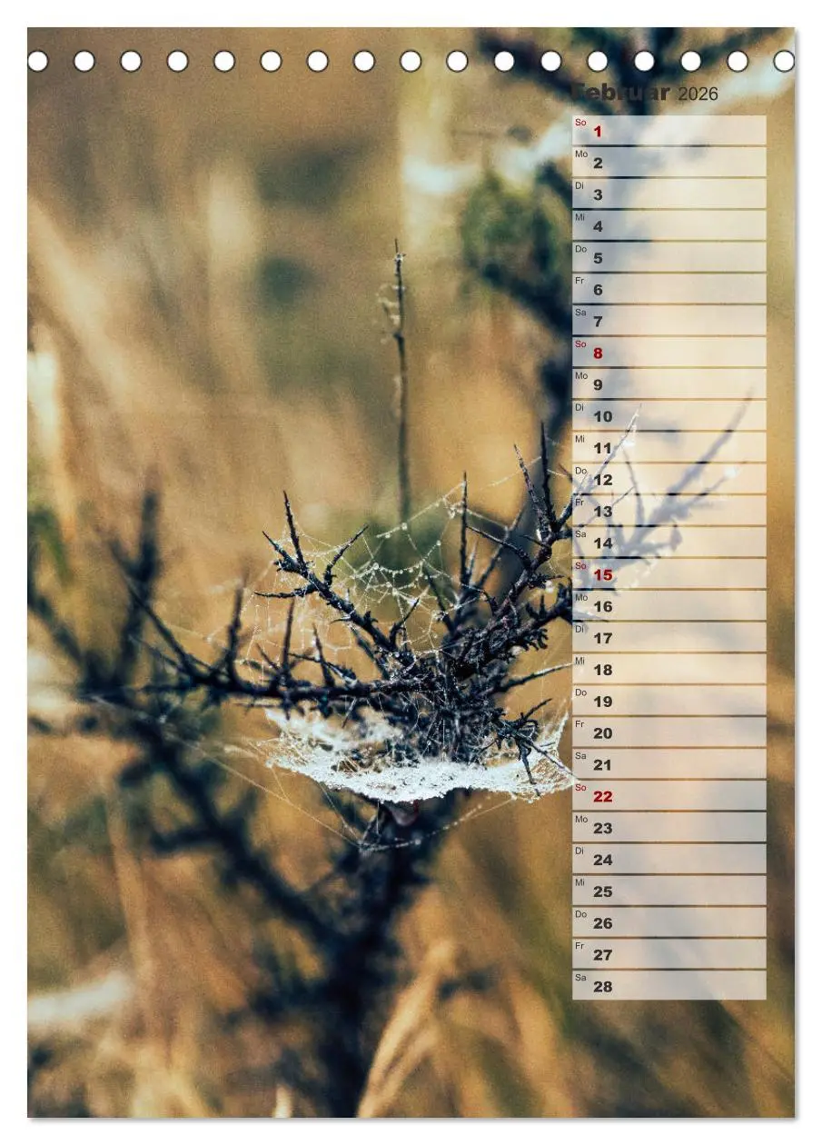 Bild: 9783516382303 | Kalender - Natur im Detail (Tischkalender 2026 DIN A5 hoch),...