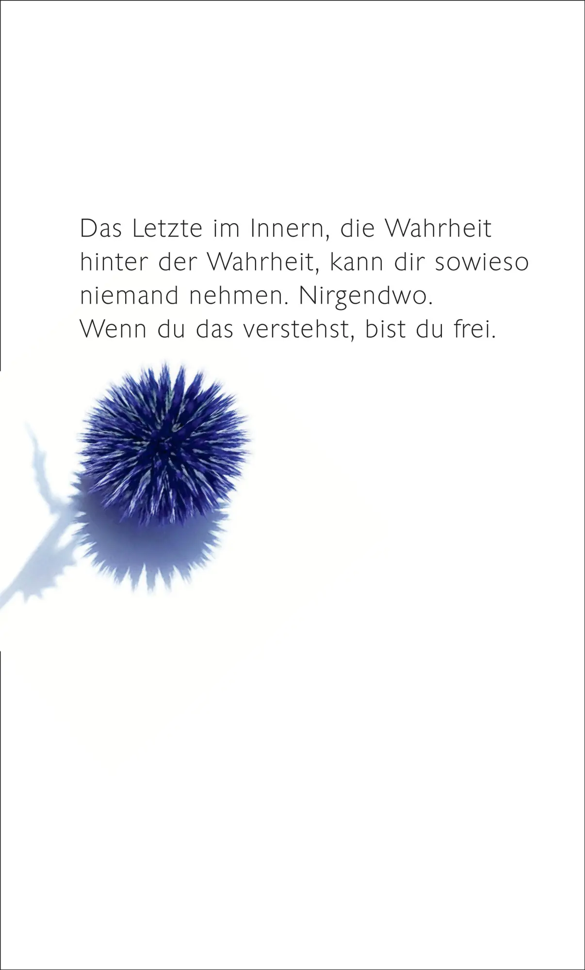 Rückseite: 9783518432303 | Museum der Einsamkeit | Erzählungen | Ralf Rothmann | Buch | 268 S.