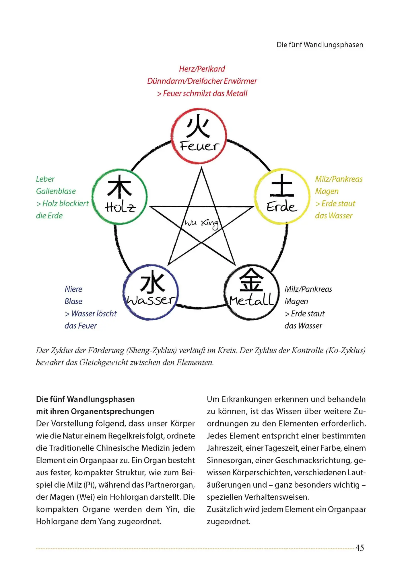 Bild: 9783275022403 | Akupunktur beim Pferd | Mit praktischen Akupressur-Anwendungen | Buch