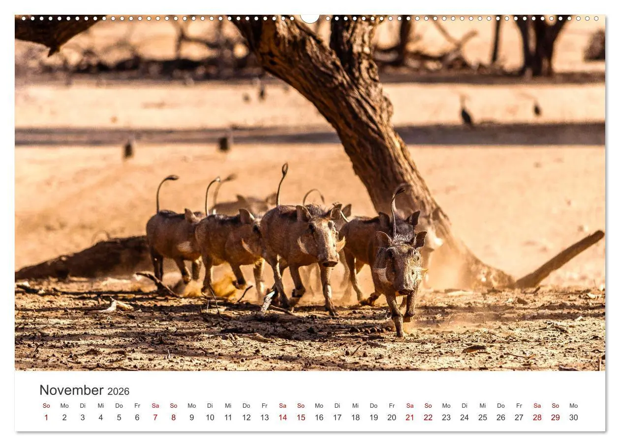 Bild: 9783457592403 | Namibia - Ein Paradies auf Erden. (hochwertiger Premium...