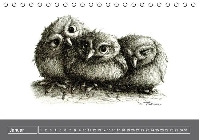 Bild: 9783660202403 | owls &amp; friends Immerwährender Kalender (Tischkalender immerwährend...
