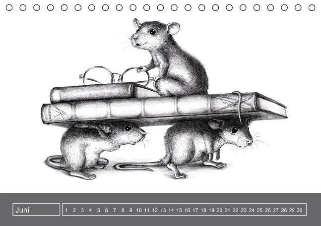 Bild: 9783660202403 | owls &amp; friends Immerwährender Kalender (Tischkalender immerwährend...