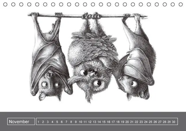 Bild: 9783660202403 | owls &amp; friends Immerwährender Kalender (Tischkalender immerwährend...