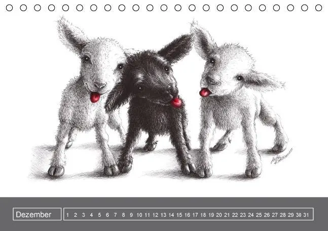 Bild: 9783660202403 | owls &amp; friends Immerwährender Kalender (Tischkalender immerwährend...