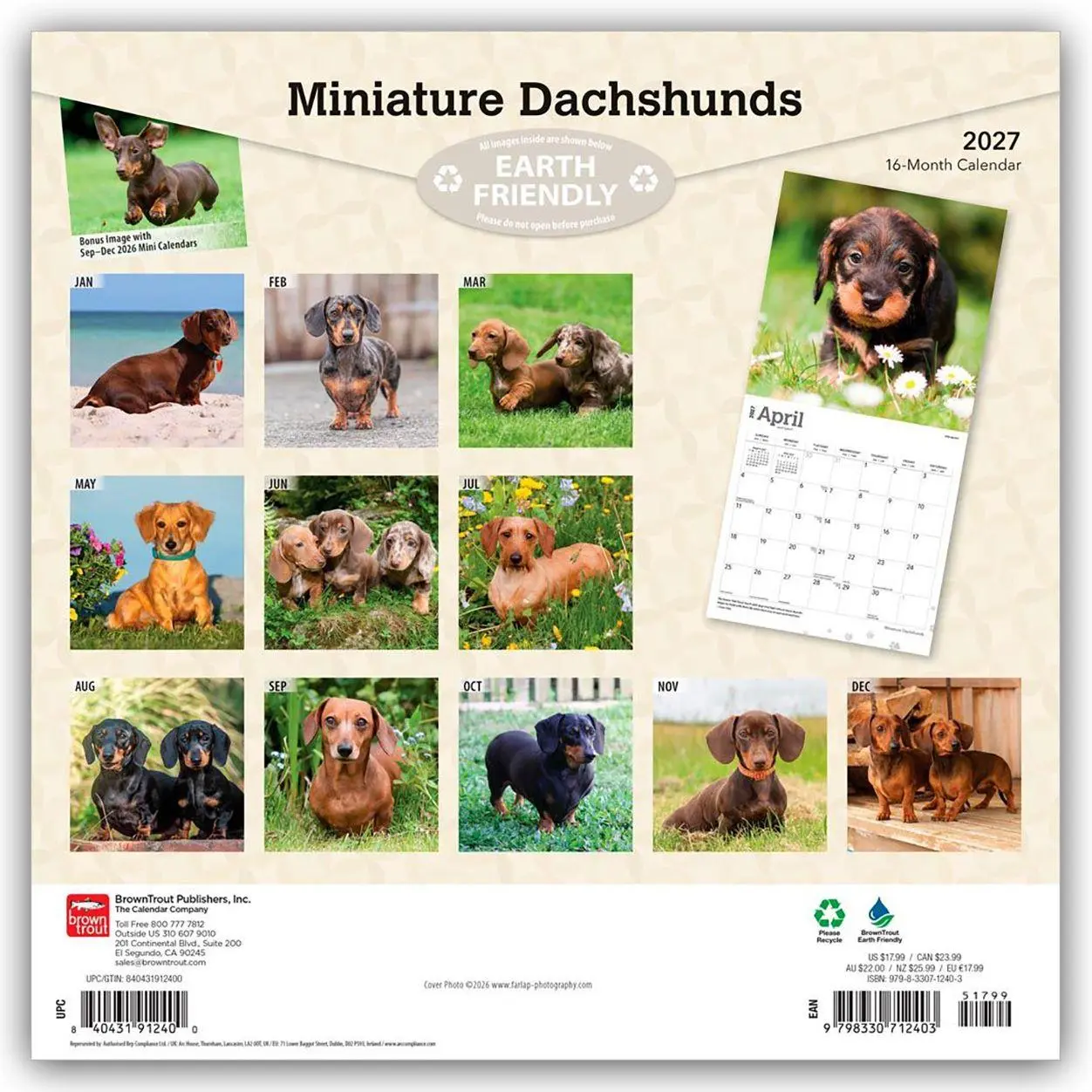 Rückseite: 9798330712403 | Miniature Dachshunds - Zwergdackel 2027 - 16-Monatskalender | Kalender