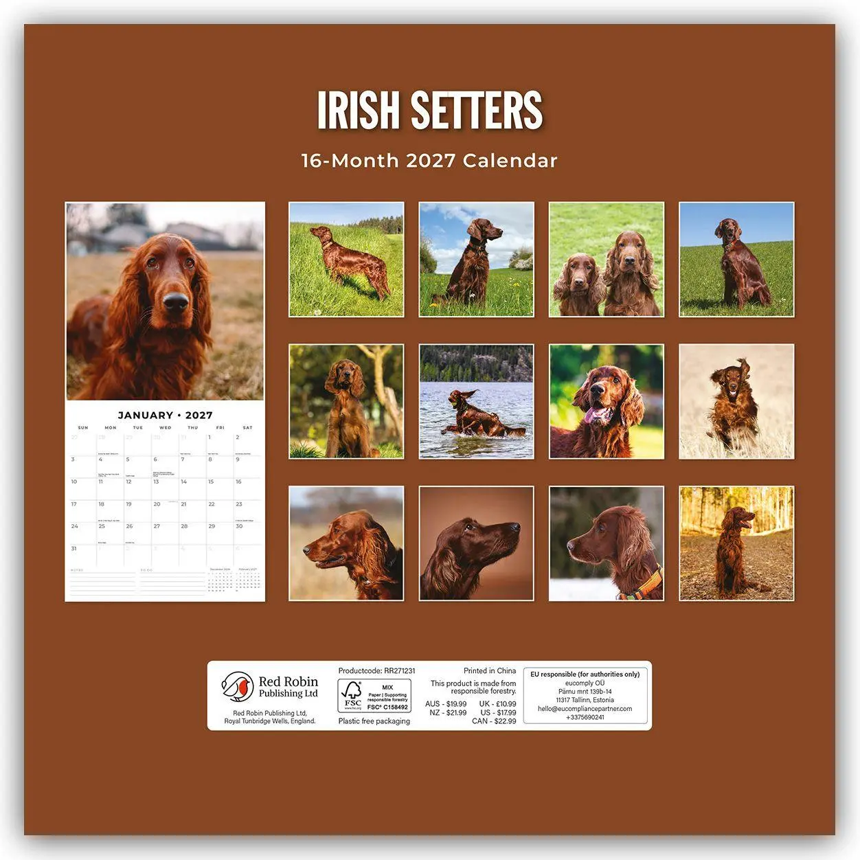 Rückseite: 9781837012503 | Irish Setters - Irischer Setter 2027 - 16-Monatskalender | Robin Red