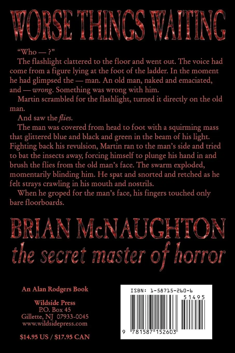 Rückseite: 9781587152603 | Worse Things Waiting | Brian Mcnaughton | Taschenbuch | Englisch