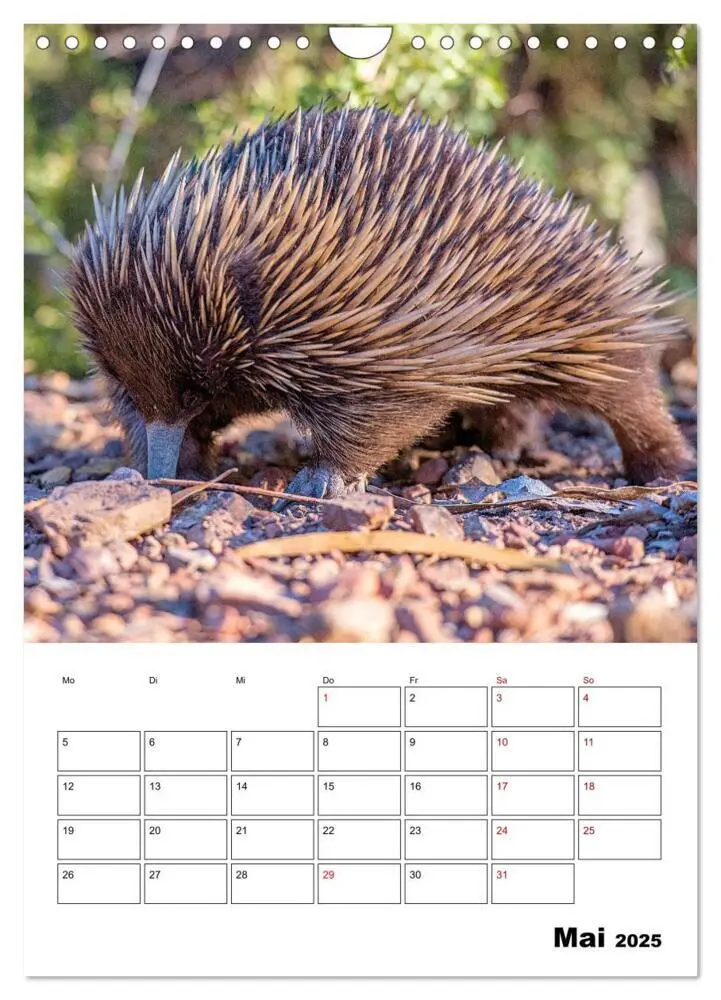 Bild: 9783435932603 | Australiens faszinierende Tierwelt (Wandkalender 2025 DIN A4 hoch),...