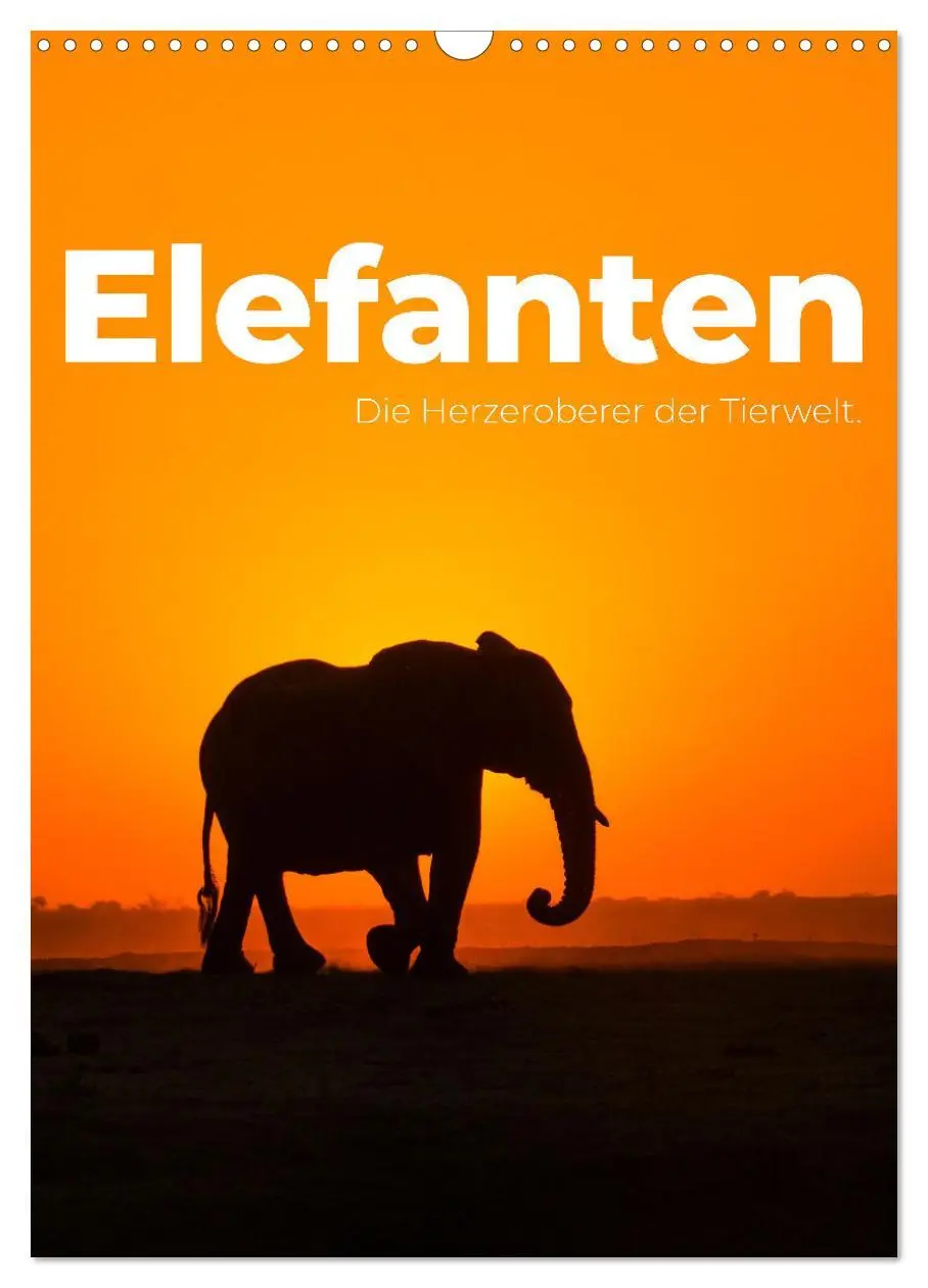 Cover: 9783516352603 | Elefanten - Die Herzeroberer der Tierwelt. (Wandkalender 2026 DIN...