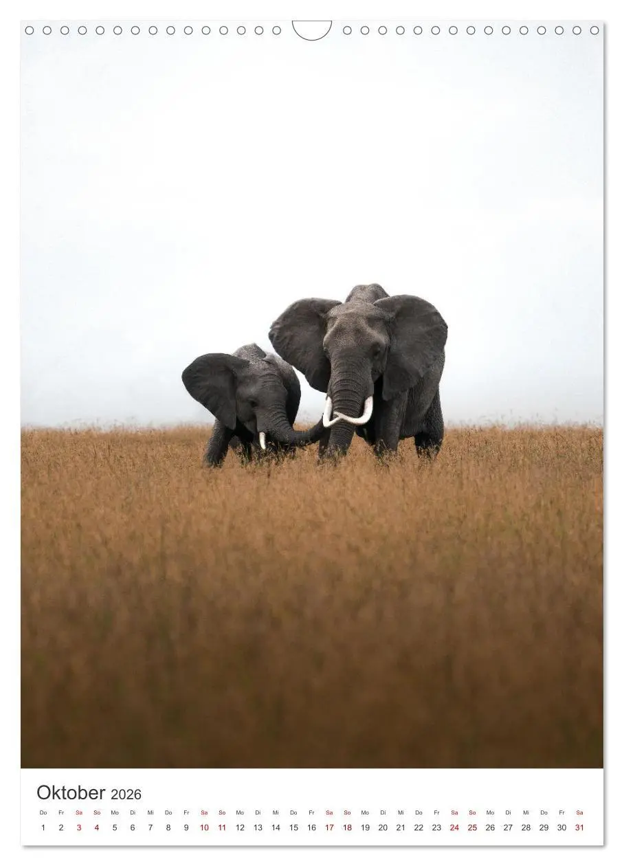 Bild: 9783516352603 | Elefanten - Die Herzeroberer der Tierwelt. (Wandkalender 2026 DIN...