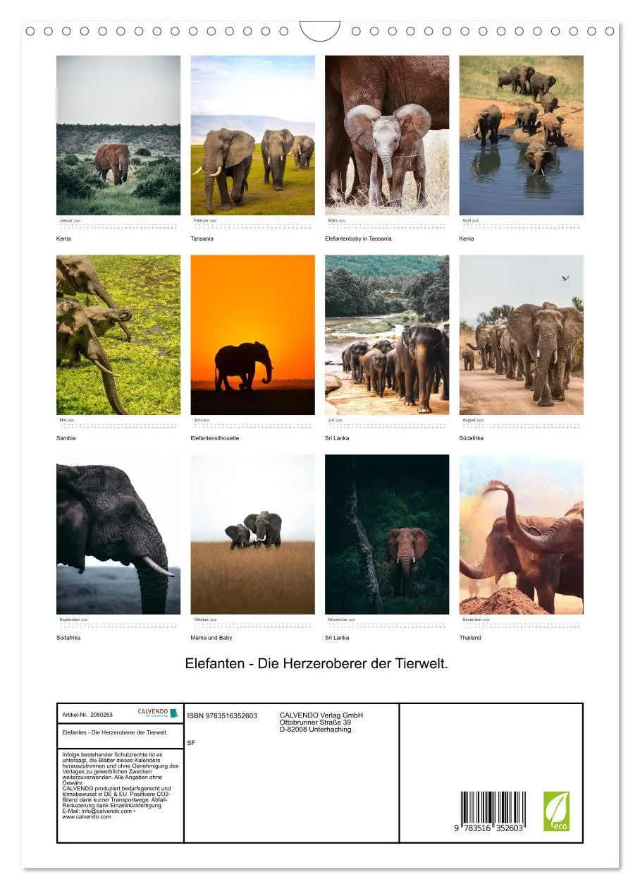 Bild: 9783516352603 | Elefanten - Die Herzeroberer der Tierwelt. (Wandkalender 2026 DIN...