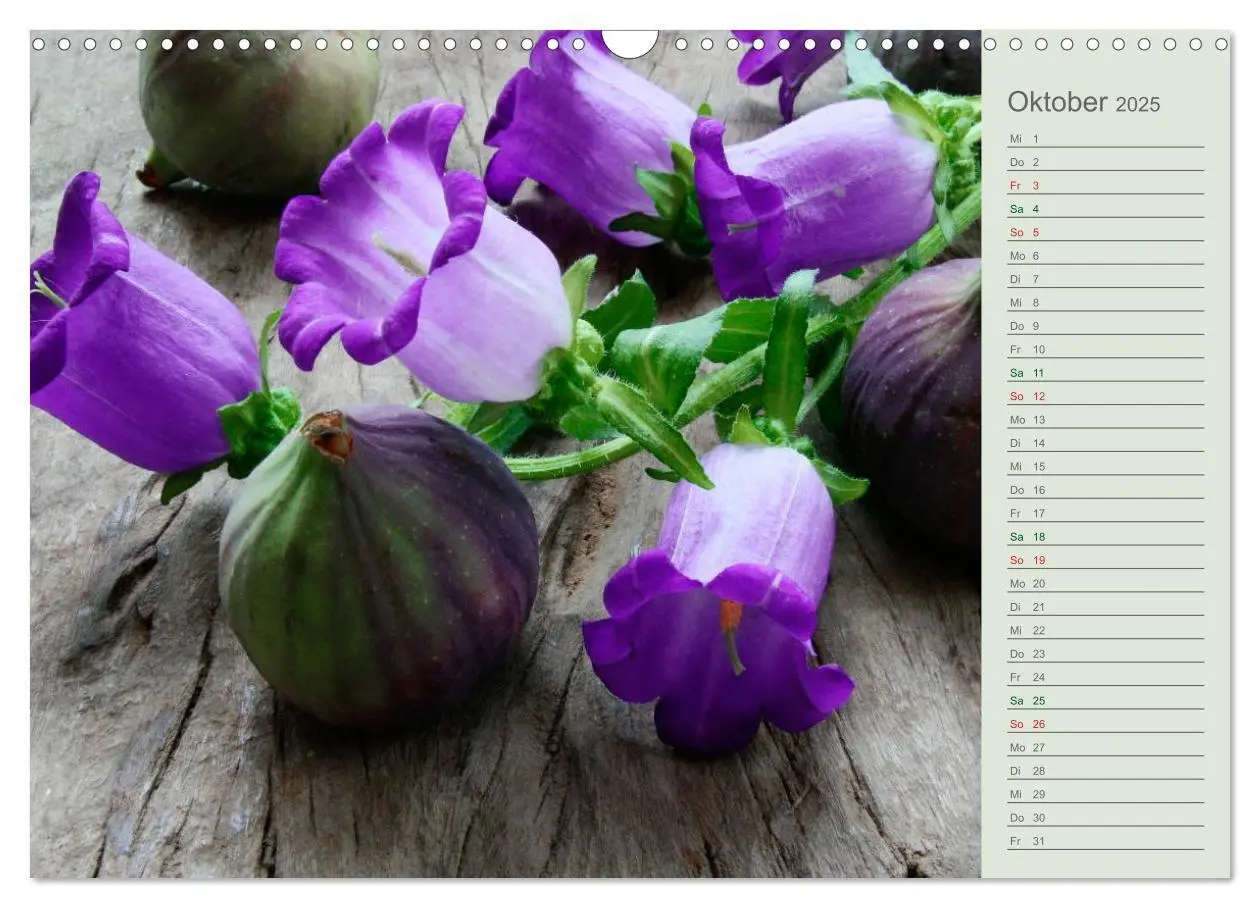 Bild: 9783435542703 | Liebenswerte Glöckchen (Wandkalender 2025 DIN A3 quer), CALVENDO...