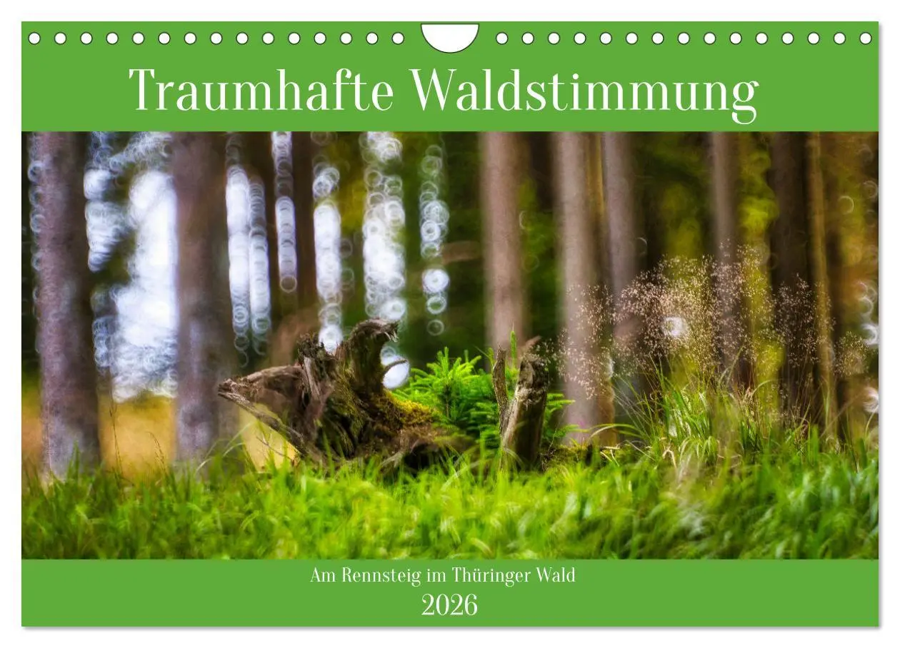 Cover: 9783457322703 | Traumhafte Waldstimmung am Rennsteig im Thüringer Wald...