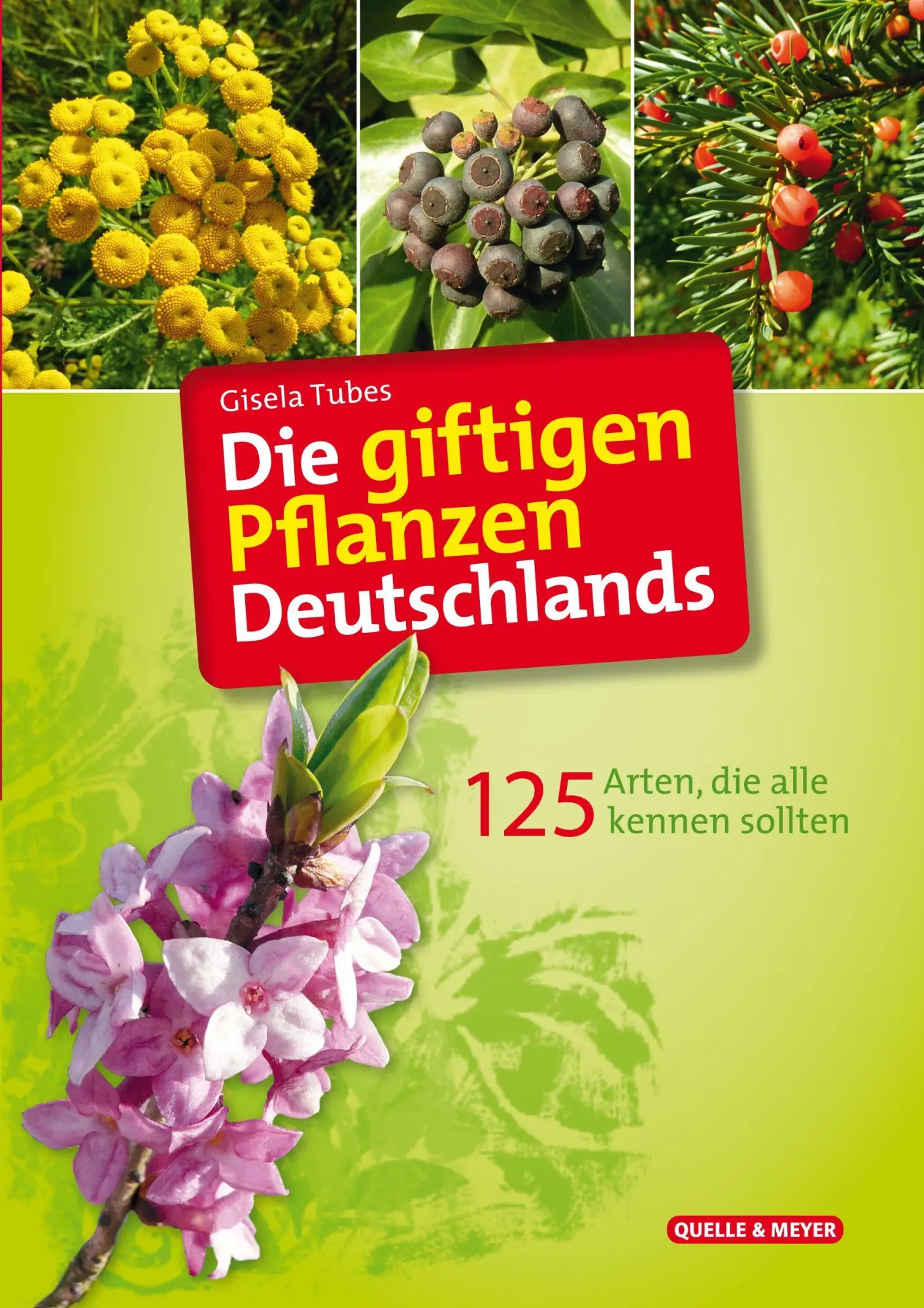 Cover: 9783494022703 | Die giftigen Pflanzen Deutschlands | Gisela Tubes | Taschenbuch | 2026