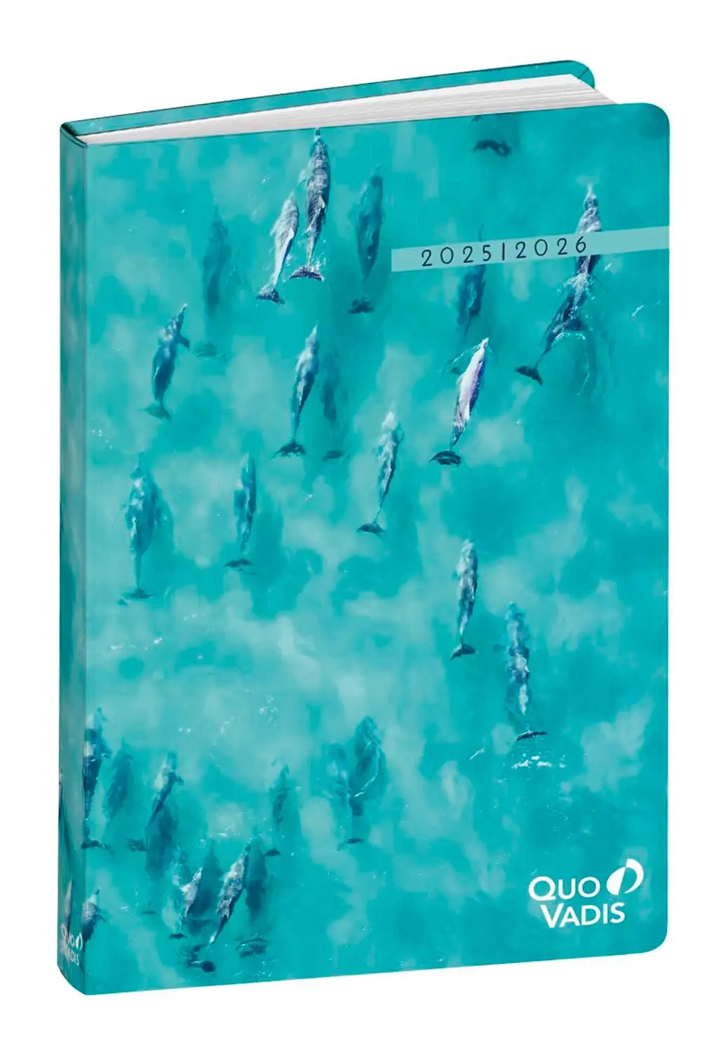 Cover: 3371010532803 | Schülerkalender FORUMRelax Delphin 2025/2026 | Schülerkalender | Vadis