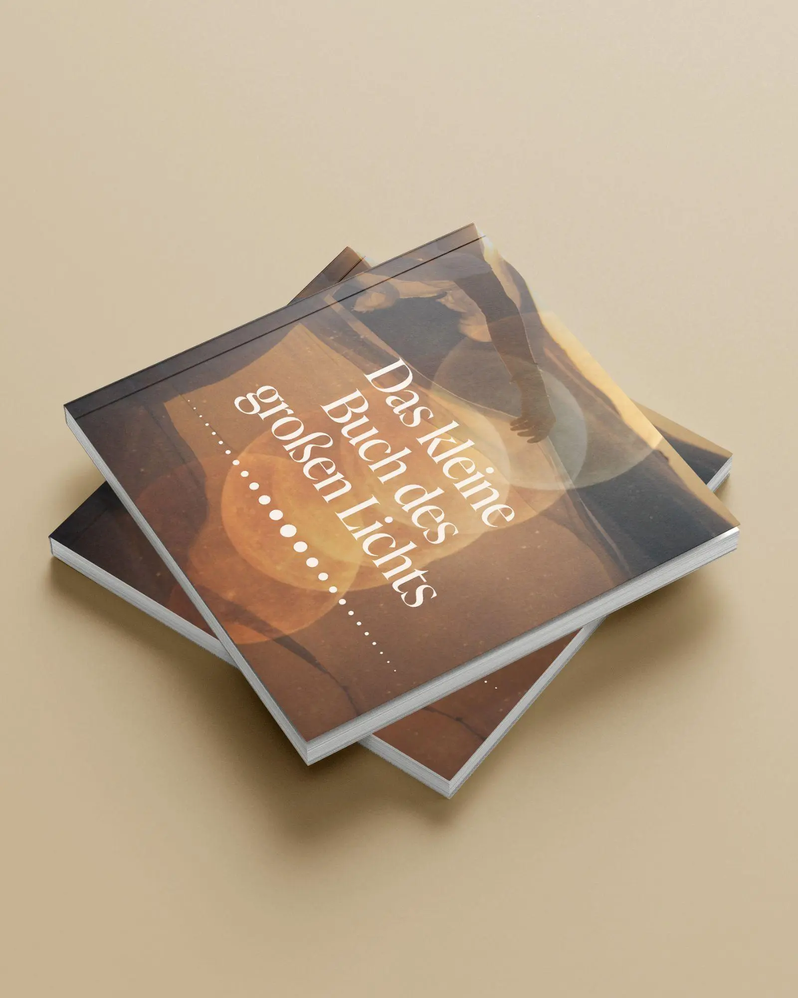 Bild: 9783949822803 | Das kleine Buch des großen Lichts | Laura Malina Seiler | Taschenbuch