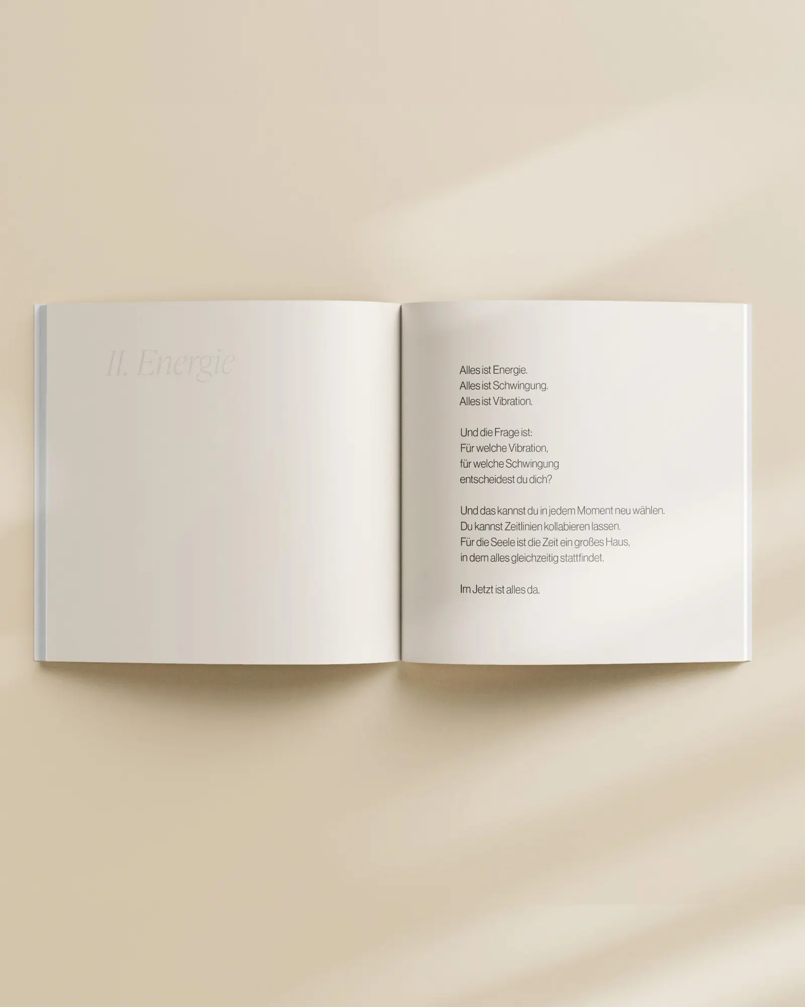 Bild: 9783949822803 | Das kleine Buch des großen Lichts | Laura Malina Seiler | Taschenbuch