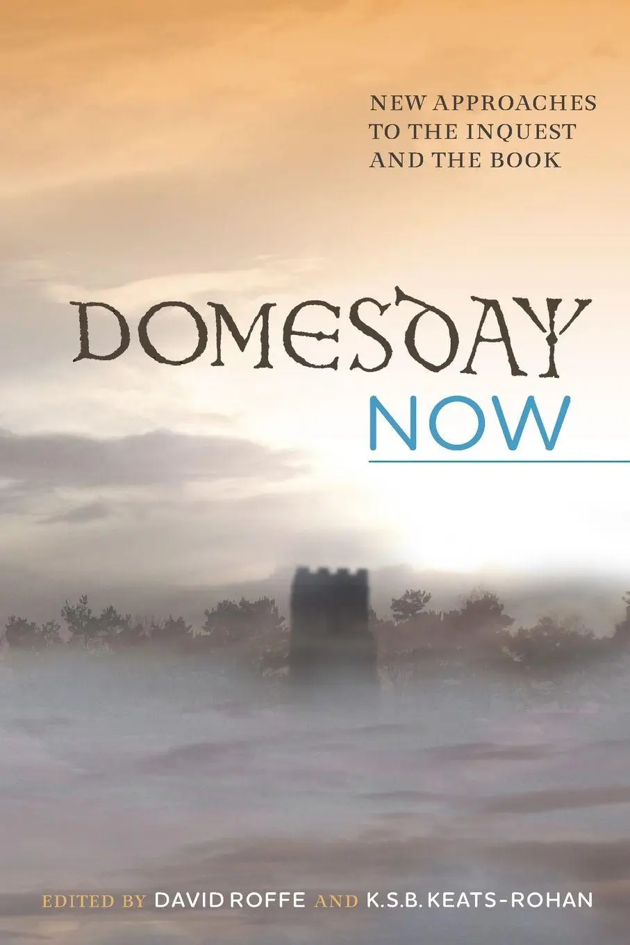Cover: 9781783273003 | Domesday Now | New Approaches to the Inquest and the Book | Buch
