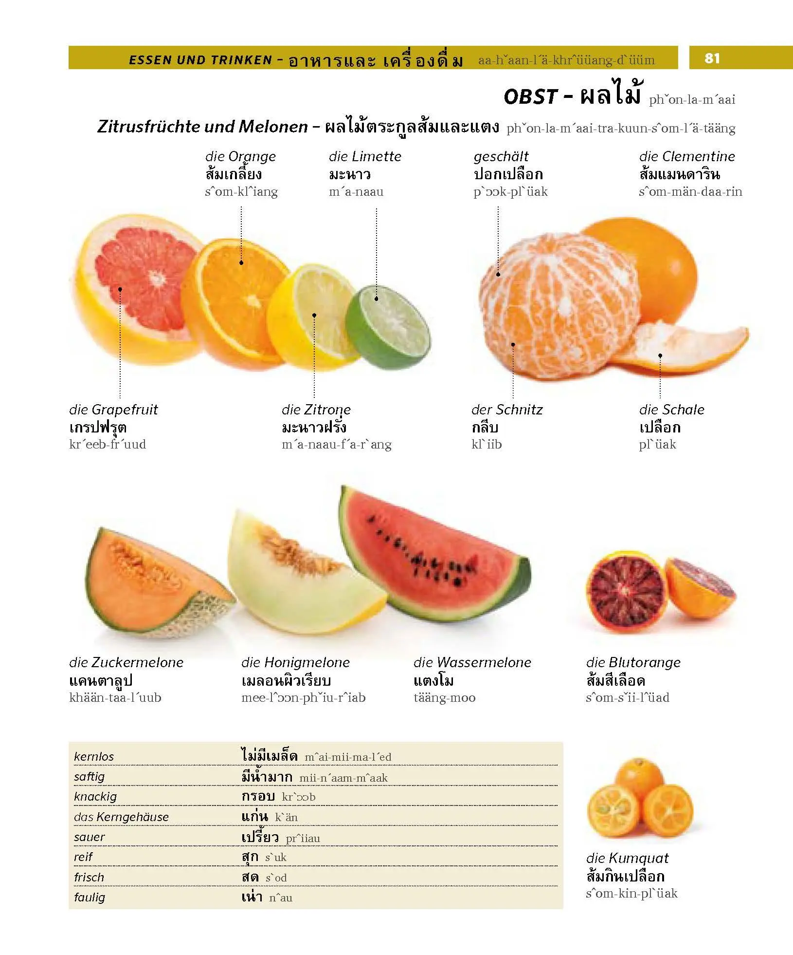 Bild: 9783125163003 | PONS Bildwörterbuch Thai | Taschenbuch | PONS Bildwörterbuch | 448 S.