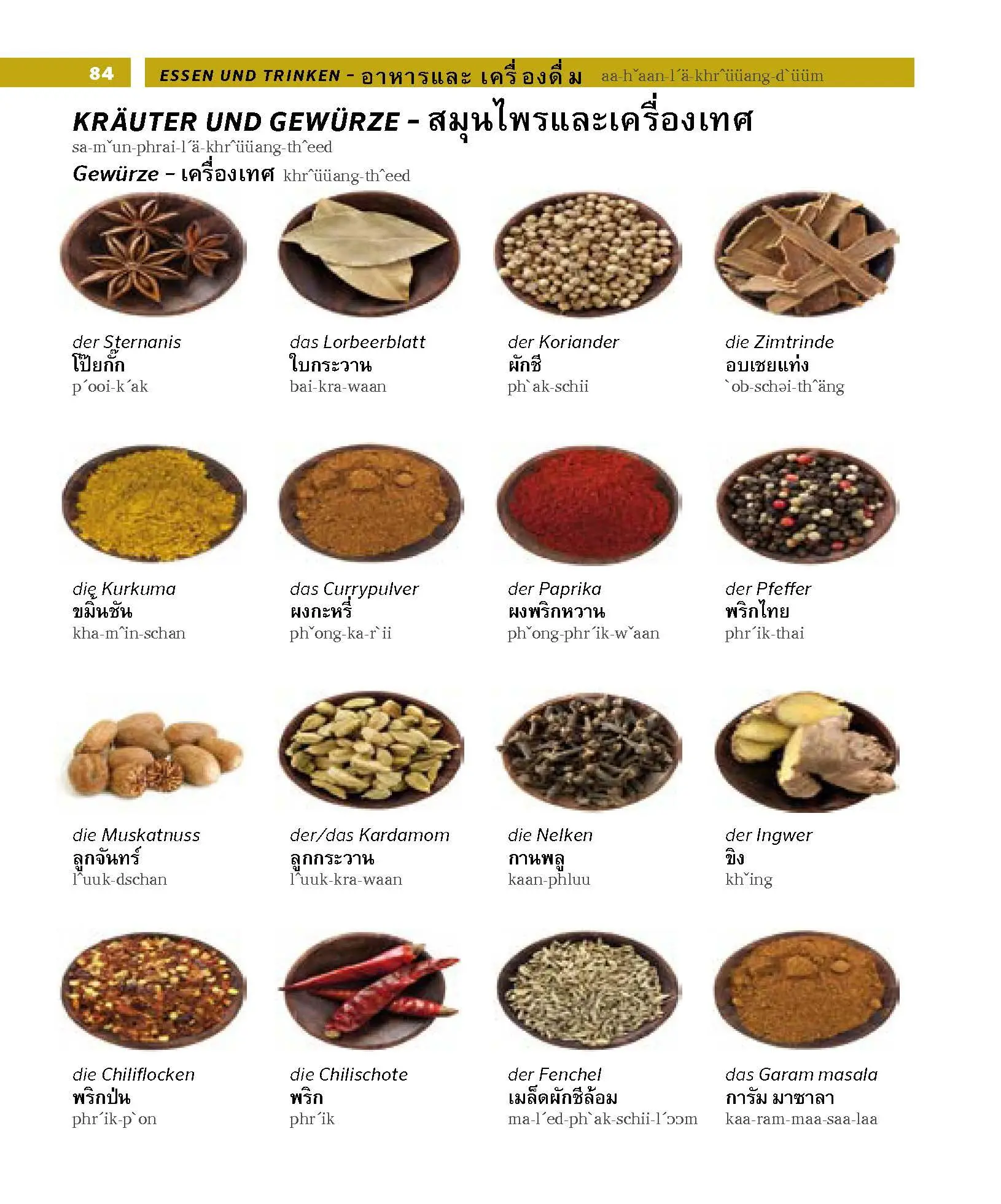 Bild: 9783125163003 | PONS Bildwörterbuch Thai | Taschenbuch | PONS Bildwörterbuch | 448 S.